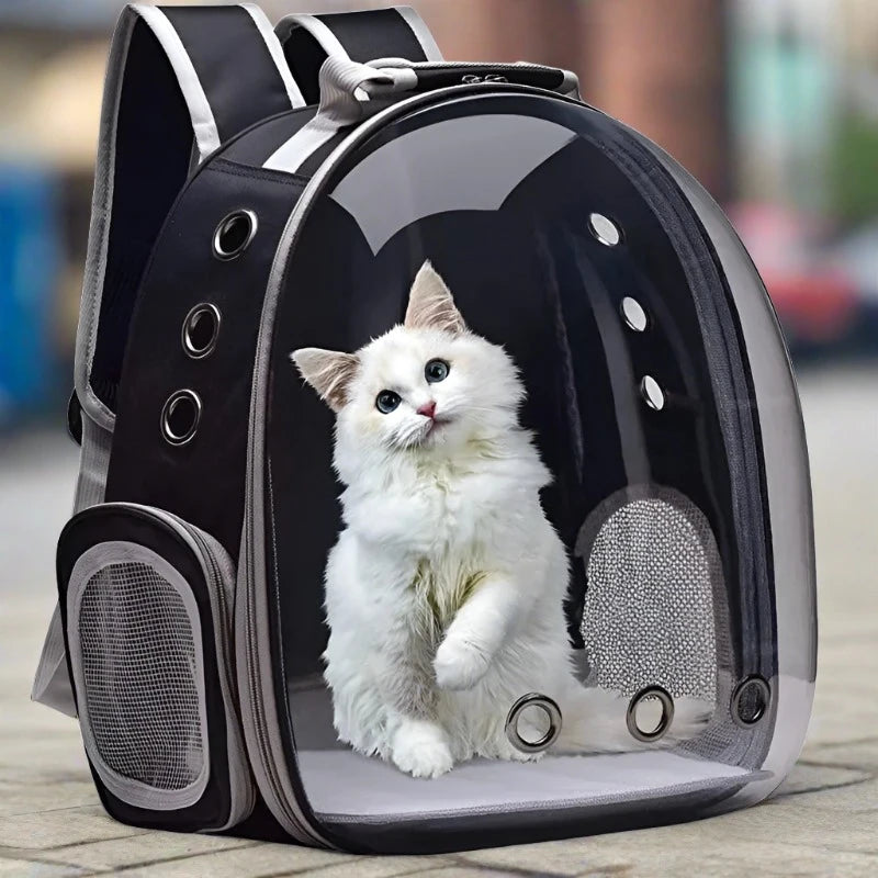 Transparent Capsule Bubble Pet Backpack in green, grey, pink and black — SniffWaggleNWalk