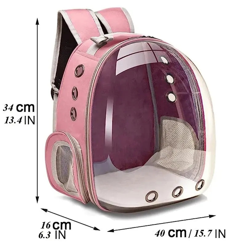 Transparent Capsule Bubble Pet Backpack shoulder straps detail — SniffWaggleNWalk