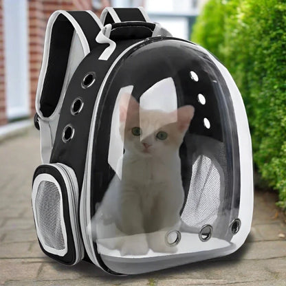 Transparent Capsule Bubble Pet Backpack clear bubble window close-up — SniffWaggleNWalk