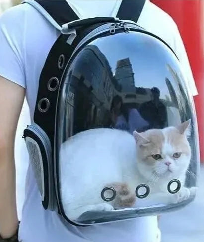 Transparent Capsule Bubble Pet Backpack worn on the back, hands-free carry — SniffWaggleNWalk