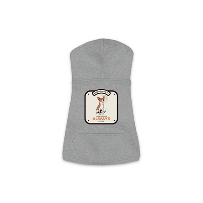 Treat Radar Dog Hoodie in Granite Heather Grey, sizes XS-M
