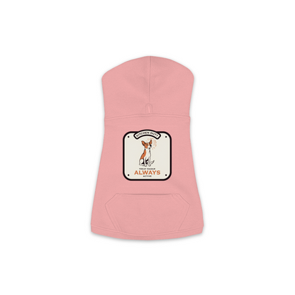 Treat Radar Dog Hoodie in Mauvelous Pink, sizes XS-M