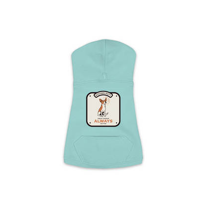 Treat Radar Dog Hoodie in Saltwater Blue, sizes XS-M