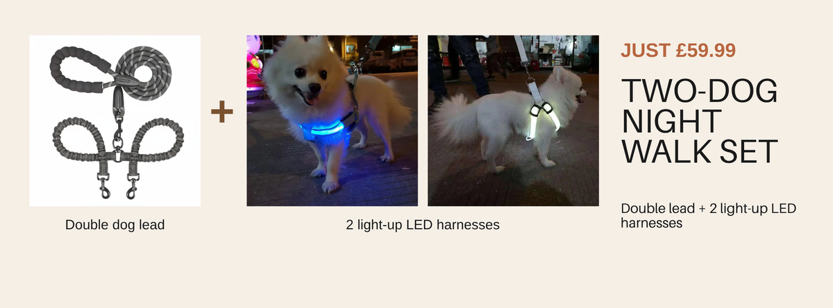 Two-Dog Night Walk Set offer banner, just £59.99, double dog lead plus 2 light-up LED harnesses — SniffWaggleNWalk™