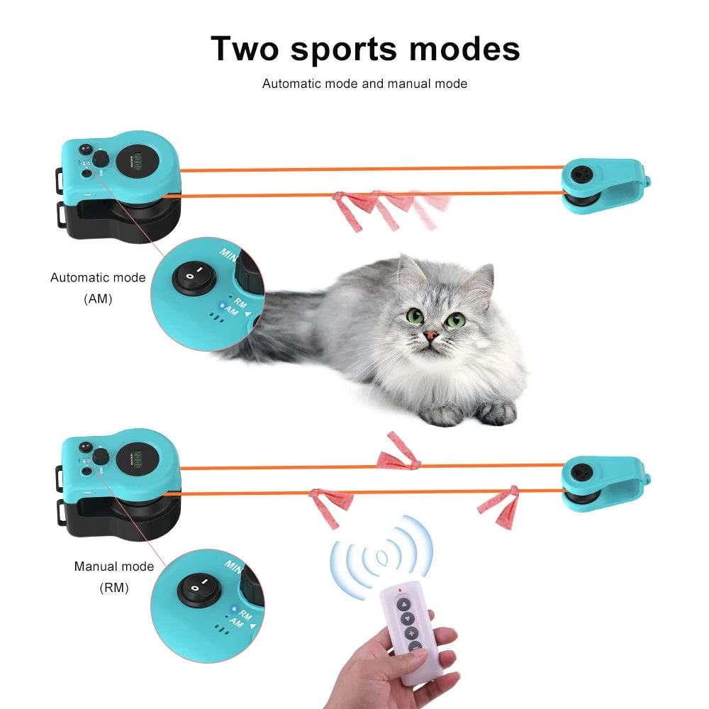 cat toy showing two sports modes
