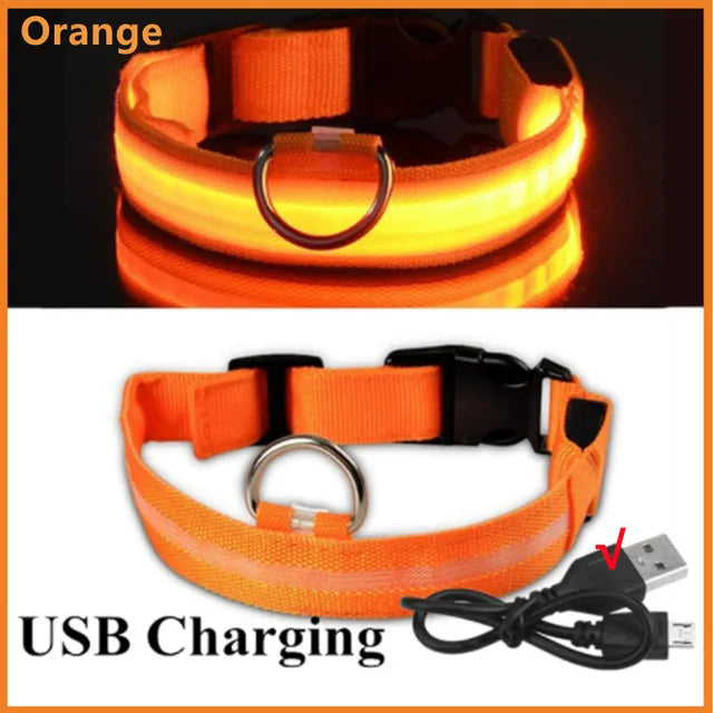 Ultra-Bright LED Dog Collar adjustable buckle and strap detail — SniffWaggleNWalk