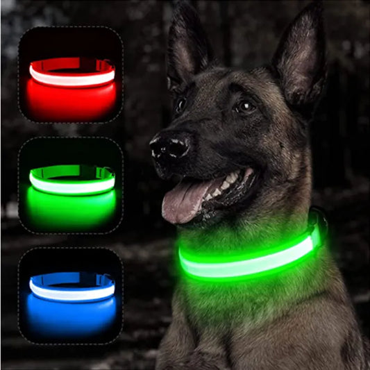 Ultra-Bright LED Dog Collar in pink, red, yellow and blue — USB rechargeable, waterproof, adjustable — SniffWaggleNWalk