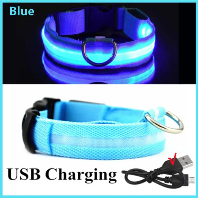 Ultra-Bright LED Dog Collar four colour options side by side — SniffWaggleNWalk