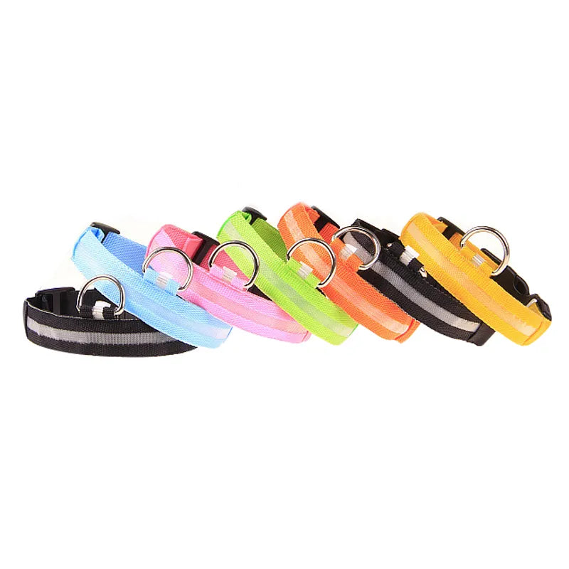 Ultra-Bright LED Dog Collar glowing for high-visibility night walks — SniffWaggleNWalk