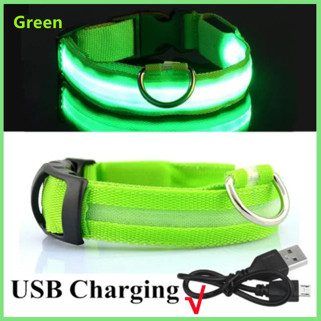 Ultra-Bright LED Dog Collar light mode settings — steady, slow flash and fast flash — SniffWaggleNWalk