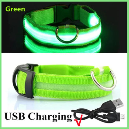 Ultra-Bright LED Dog Collar light mode settings — steady, slow flash and fast flash — SniffWaggleNWalk