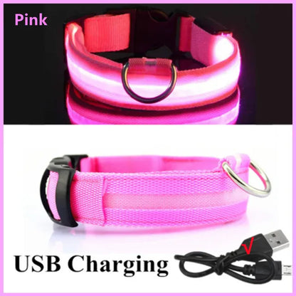 Ultra-Bright LED Dog Collar worn by a dog on an evening walk — SniffWaggleNWalk