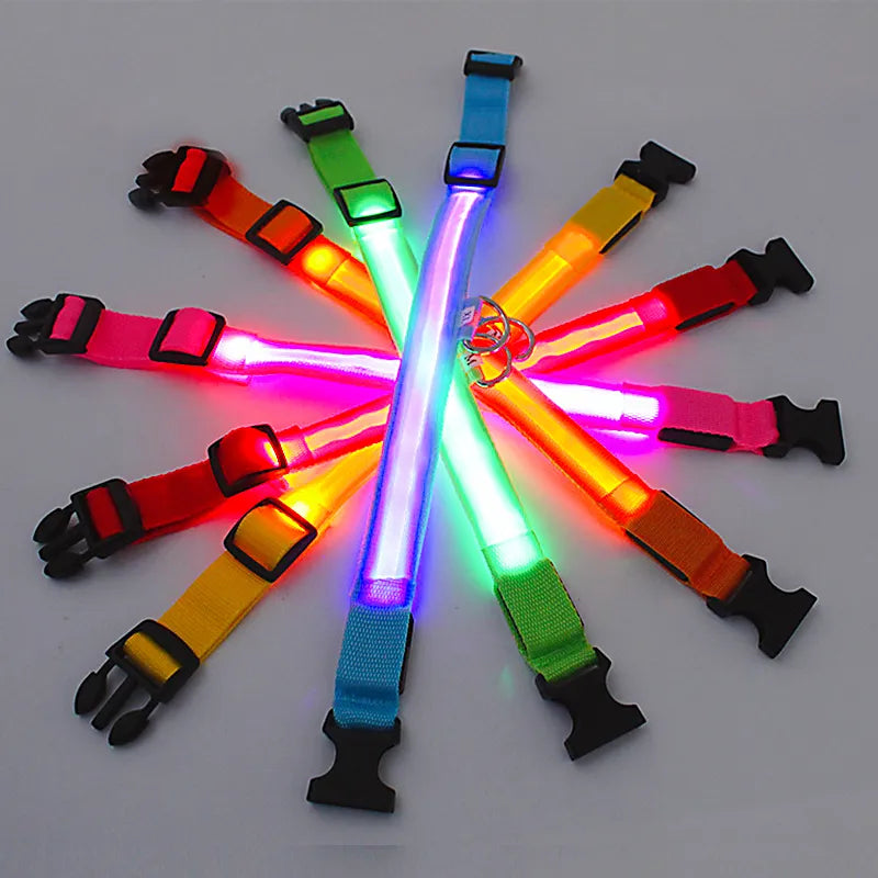 Ultra-Bright LED Dog Collar USB charging cable and port — SniffWaggleNWalk