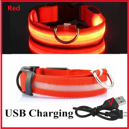 Ultra-Bright LED Dog Collar waterproof design close-up — SniffWaggleNWalk