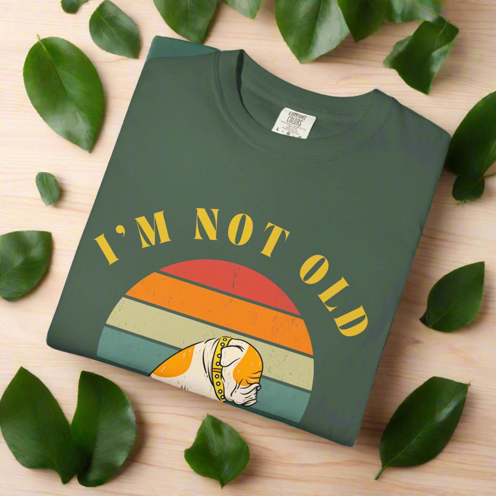 Vintage Dog Classic I'm Not Old I'm Classic retro dog t-shirt mockup