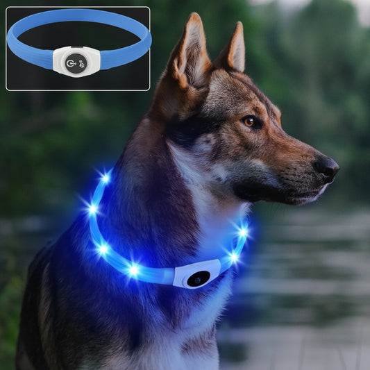 Large German Shepherd dog wearing blue GlowLoop™ LED collar glowing in low light outdoors
