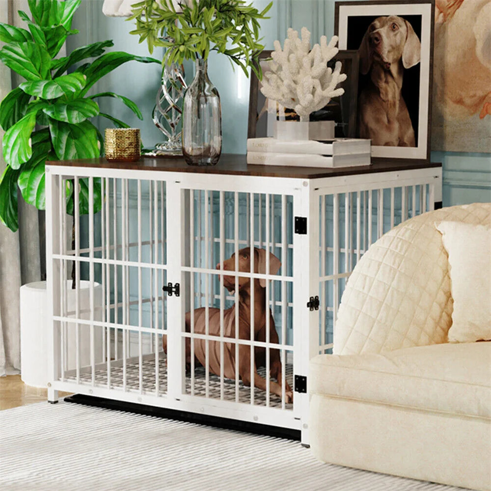 Dog inside a white metal crate in a living room with a couch, plants, and decor.