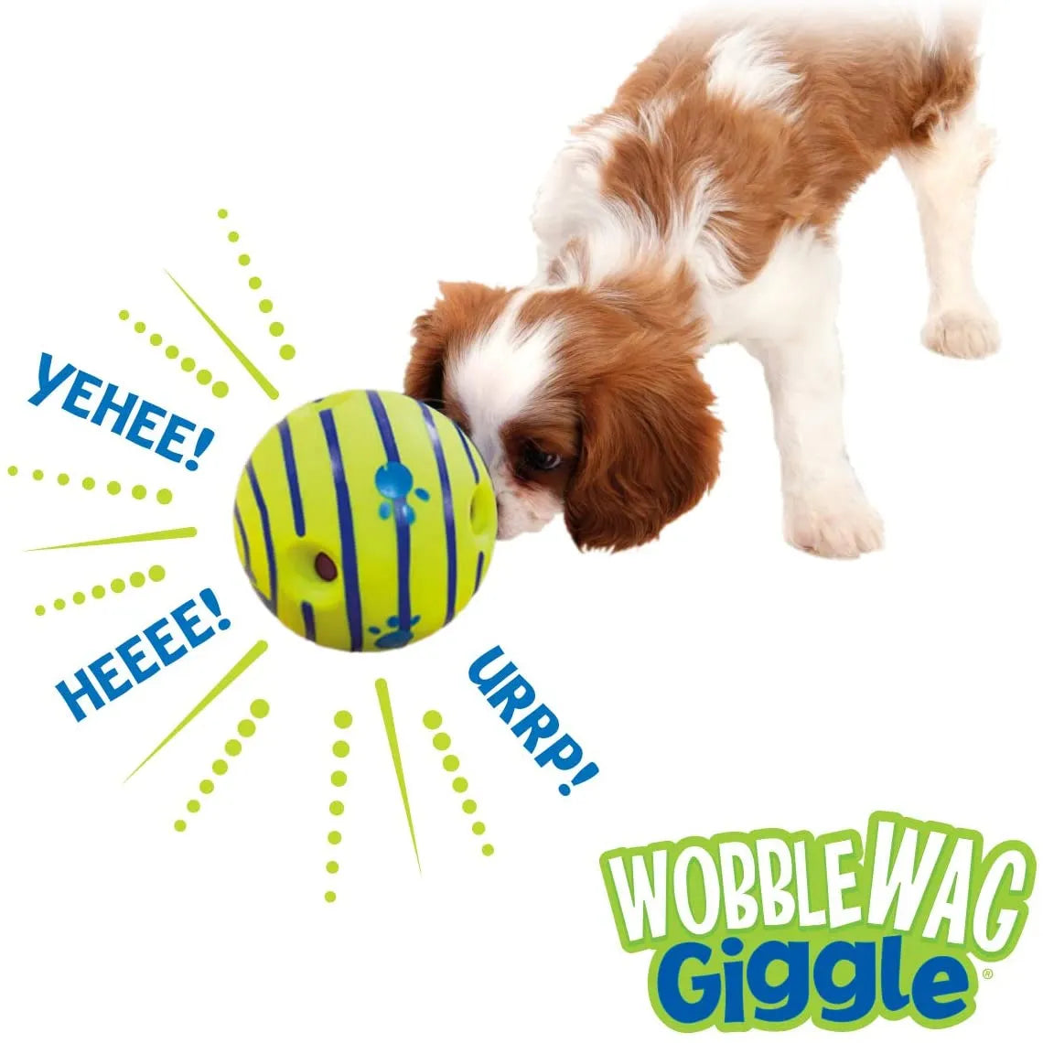 Beagle playing with GiggleBall showing 6 clutch pockets easy pick up