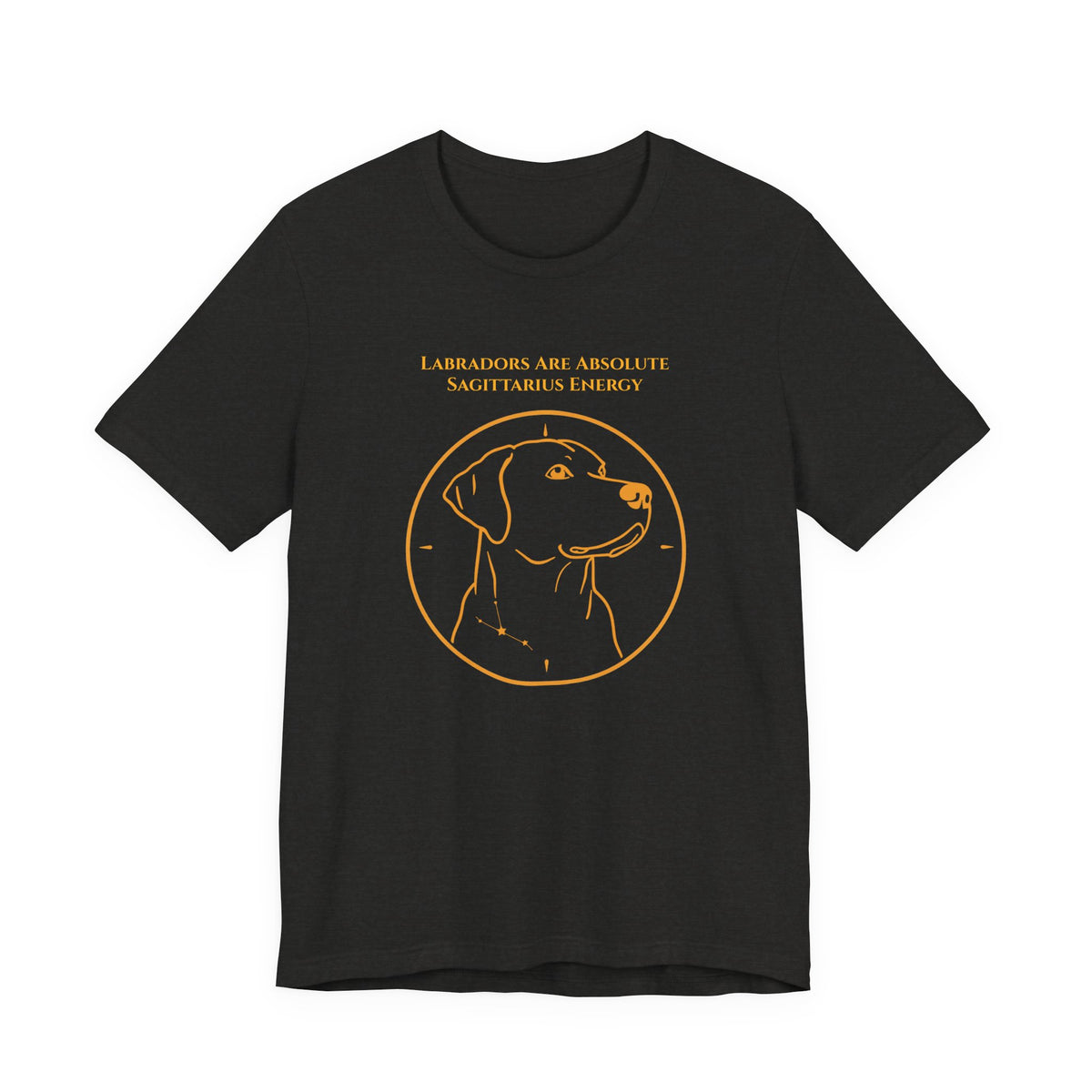Zodiac Pack Labrador T-Shirt — Sagittarius design, photo 12