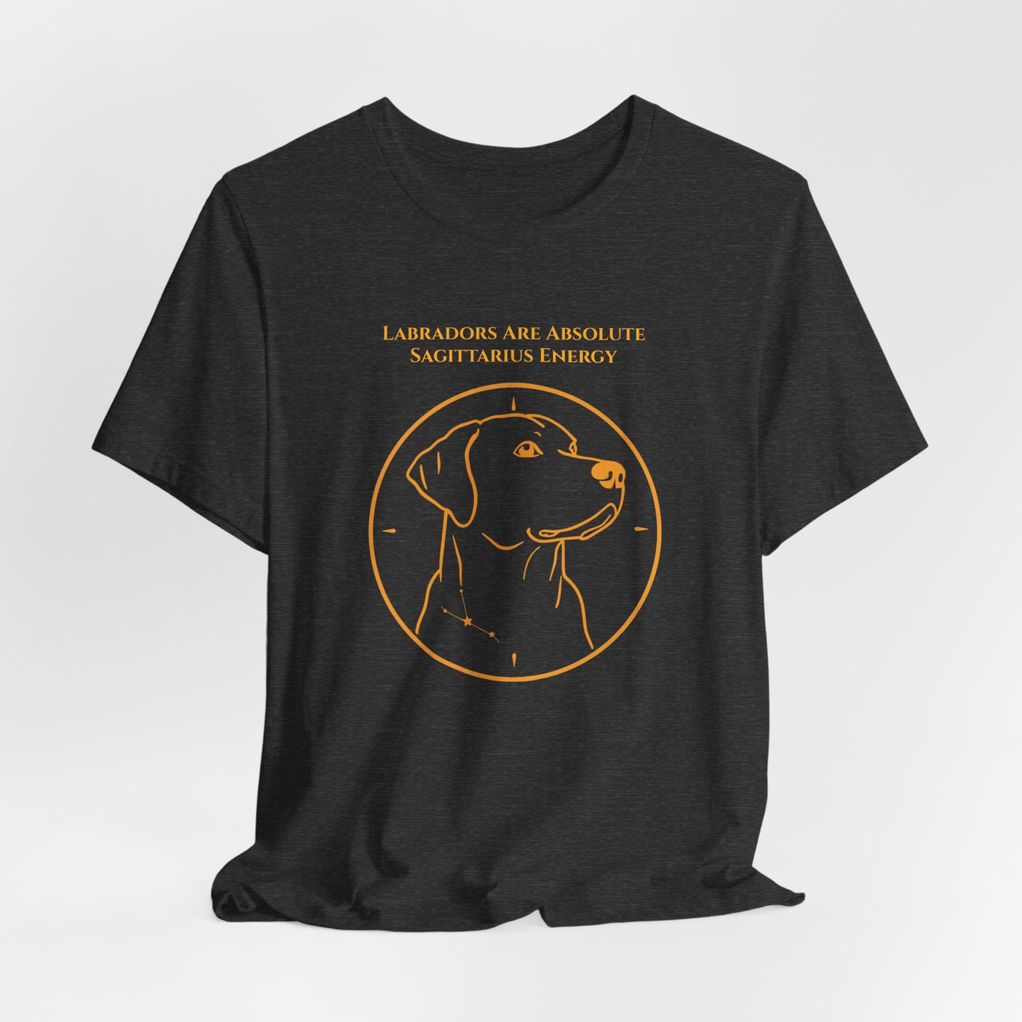 Zodiac Pack Labrador T-Shirt — Sagittarius design, photo 21