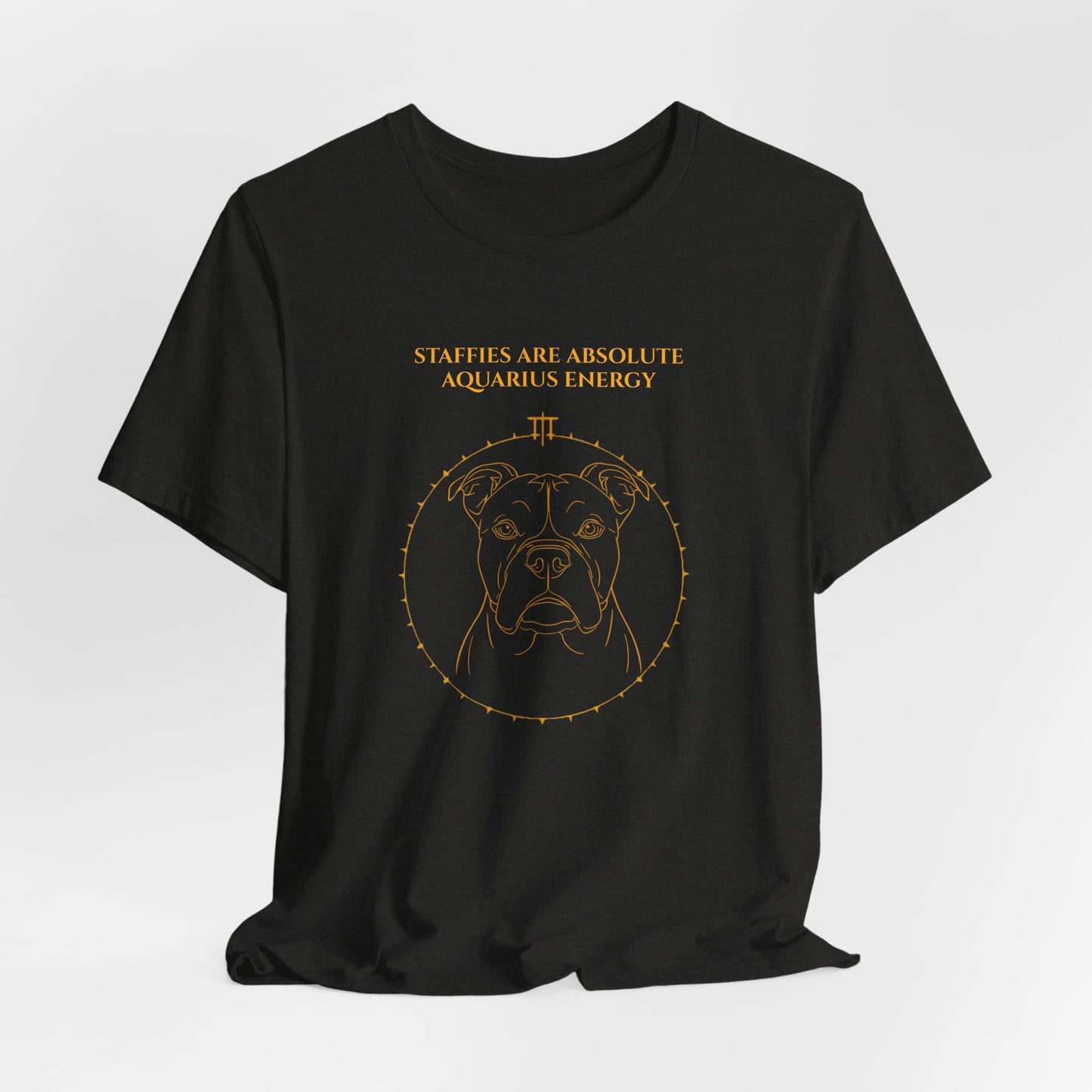 Zodiac Pack Staffie T-Shirt — Aquarius design, photo 15