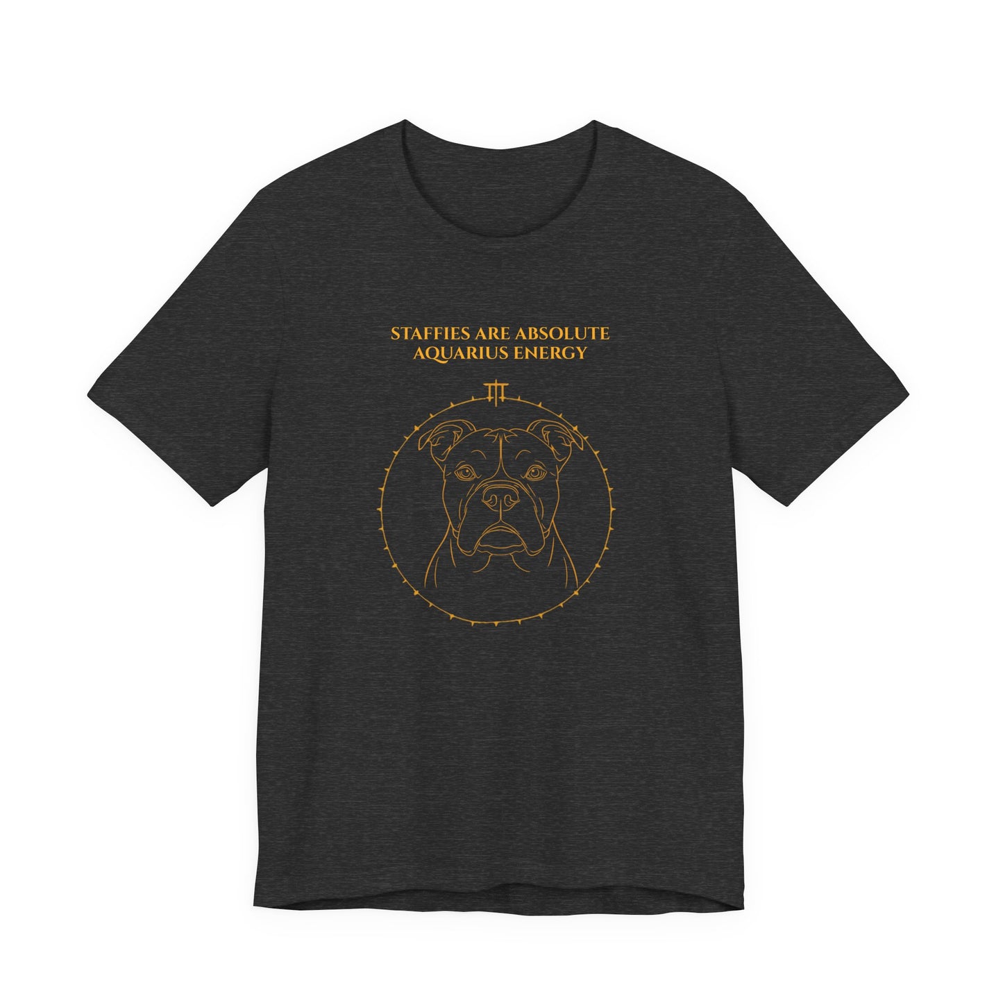 Zodiac Pack Staffie T-Shirt — Aquarius design, photo 18