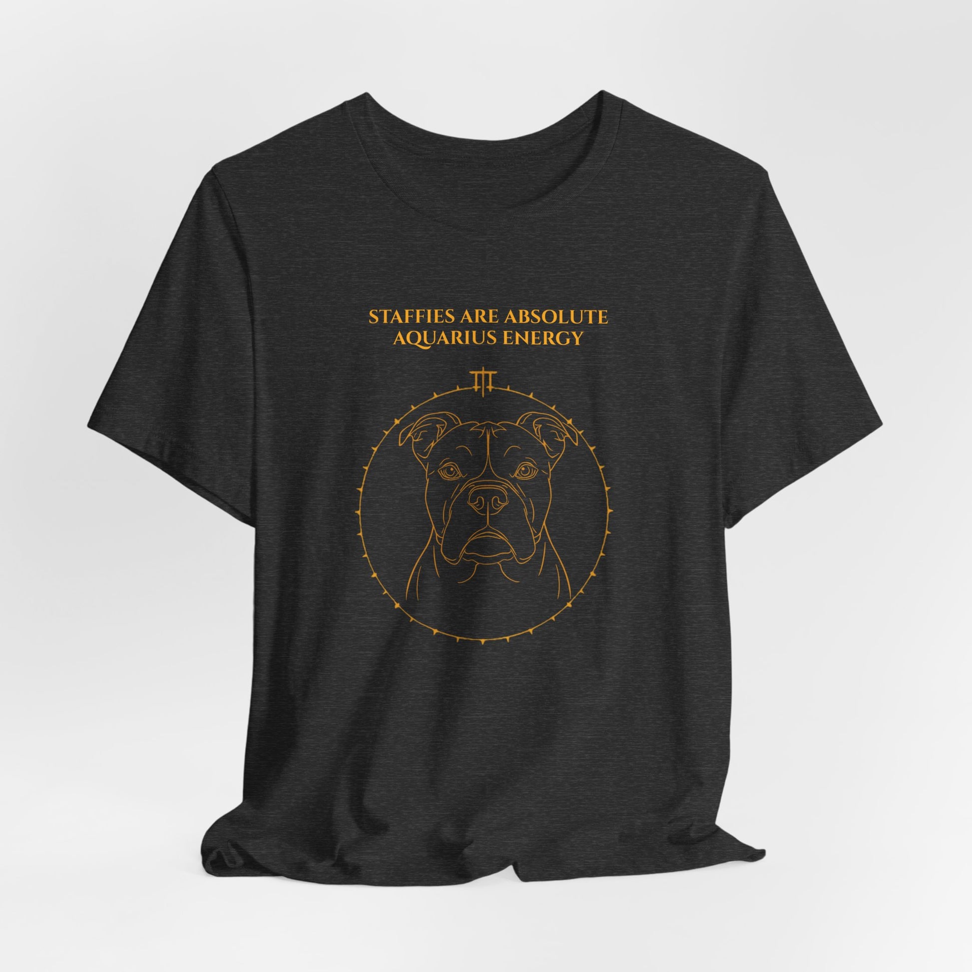 Zodiac Pack Staffie T-Shirt — Aquarius design, photo 21